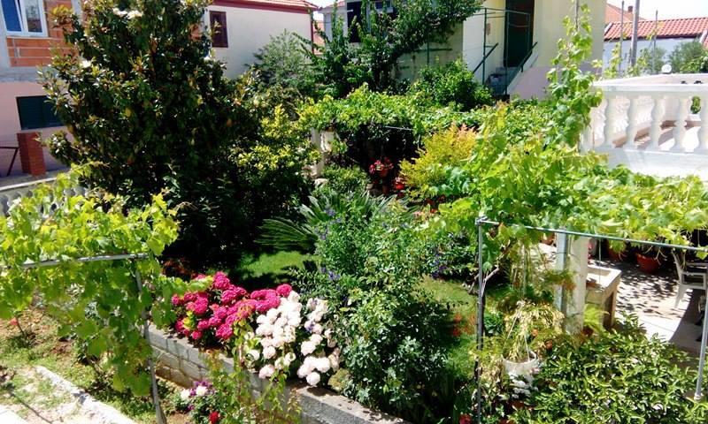 זאדאר Apartment Matovina מראה חיצוני תמונה